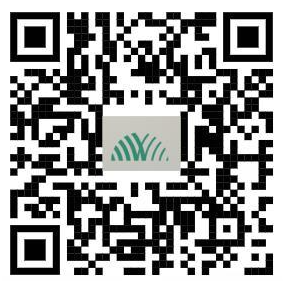 QR-Code für eine Google-Rezension